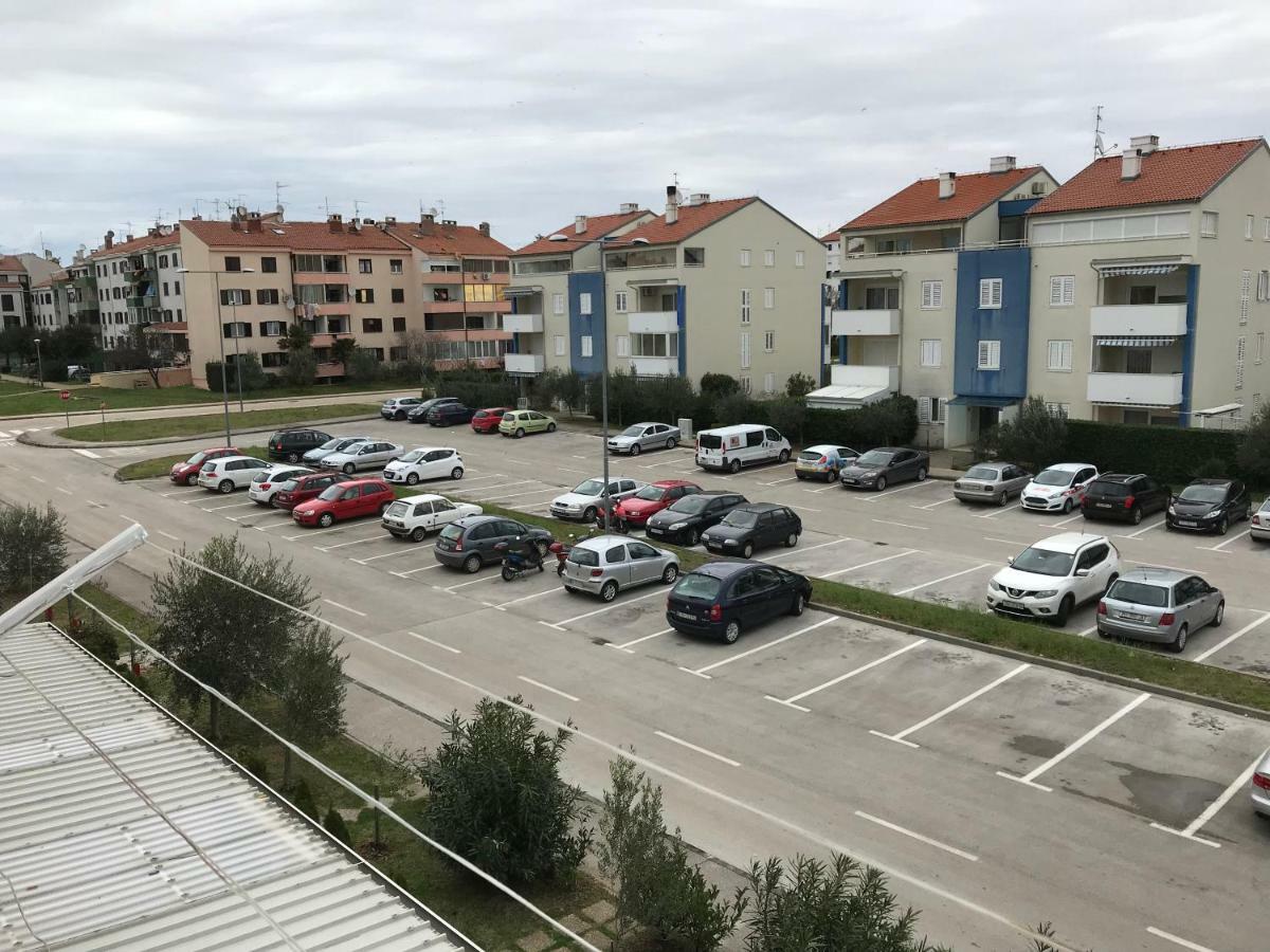 Moela 23 & 24 Umag